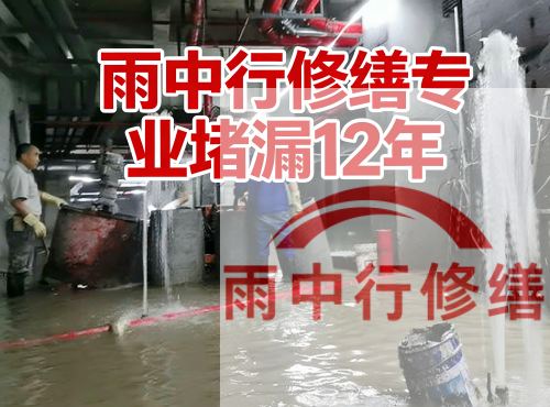 闵行中国五矿某大型污水处理厂堵漏案例